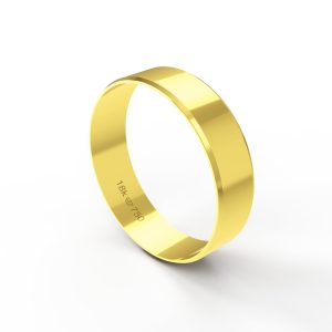 Aliança Ouro 10K 5mm BA5/3E