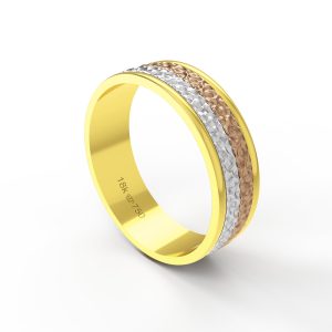 Aliança Tricolor Ouro 18K 6mm C224