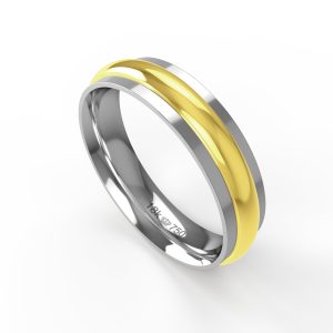 Aliança Ouro 18K 5mm C316