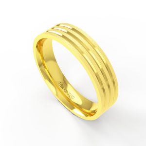 Aliança Ouro 18K 5mm C402R