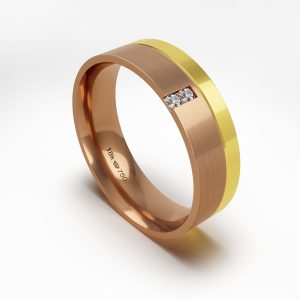 Aliança Ouro 18K 6mm C709Z
